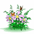 visit beautiful......... GARDENING WEBSITES.......